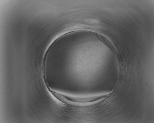 X0000068741531200605011012