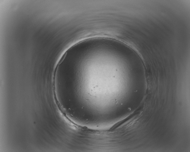 X0000068741532200605011012