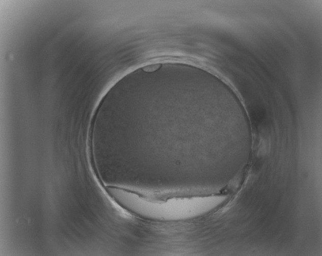 X0000068741533200605011012