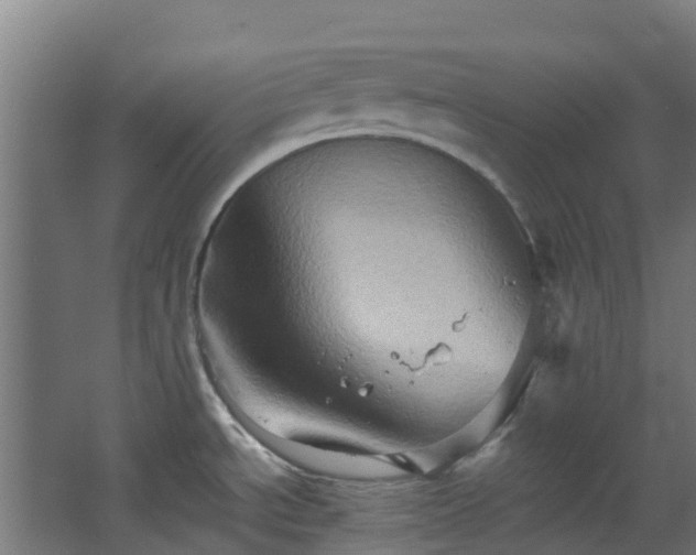 X0000068741534200605011012