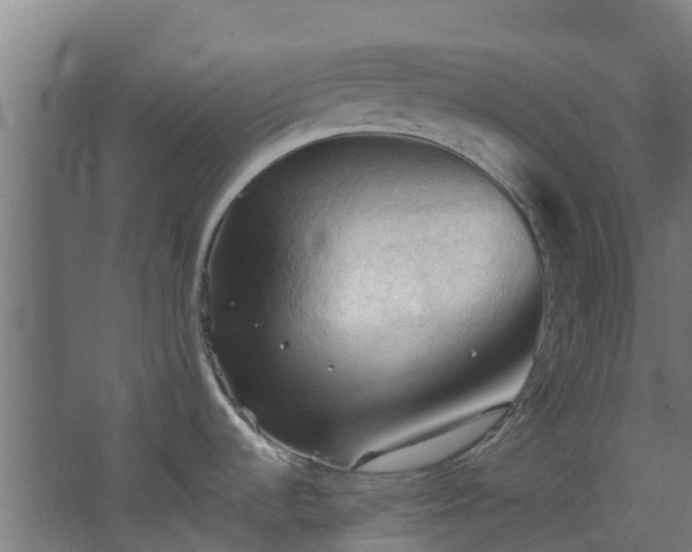 X0000068741536200605011012