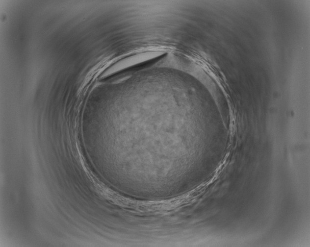 X0000068740001200605051503