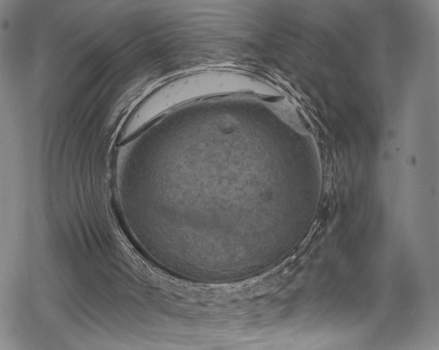 X0000068740002200605051503