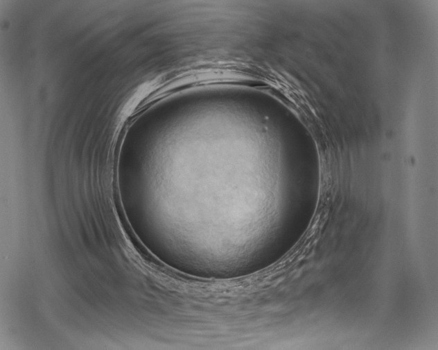 X0000068740003200605051503