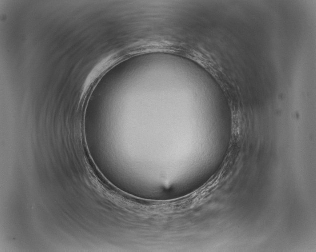 X0000068740004200605051503