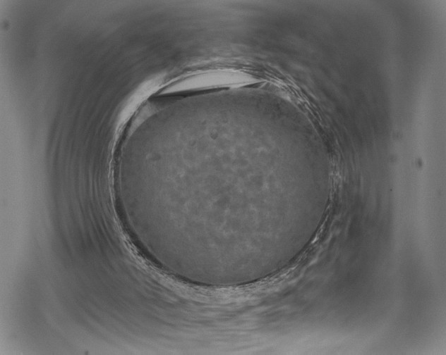 X0000068740006200605051503