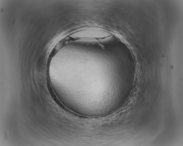 X0000068740007200605051503