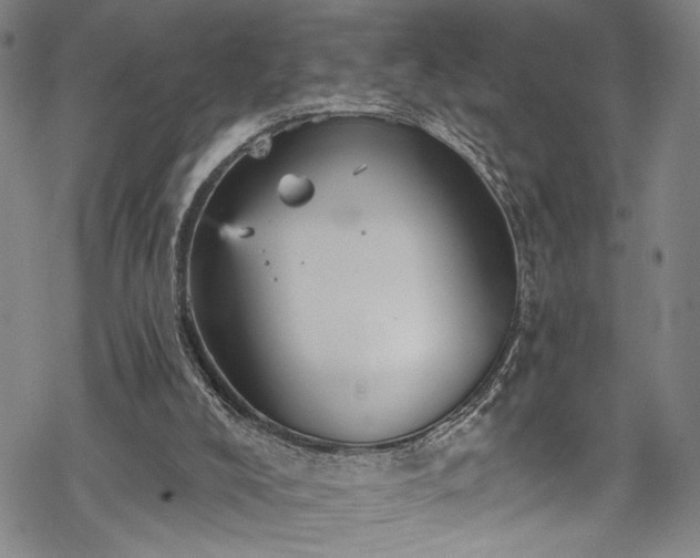 X0000068740008200605051503