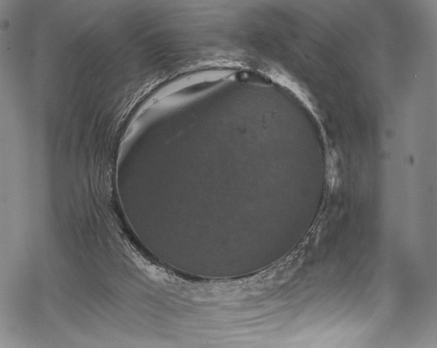 X0000068740009200605051503