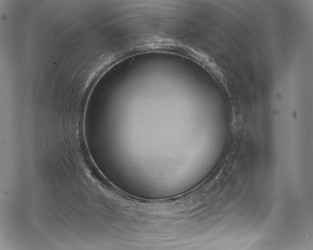 X0000068740010200605051503