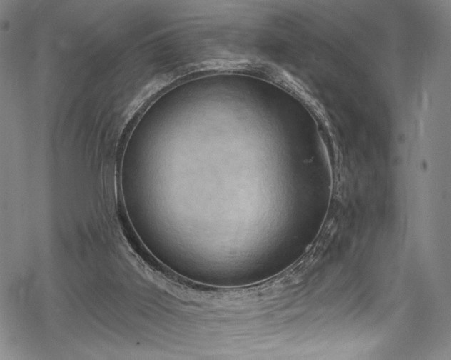 X0000068740011200605051503