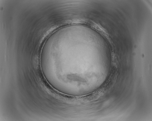 X0000068740012200605051503