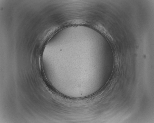 X0000068740014200605051503