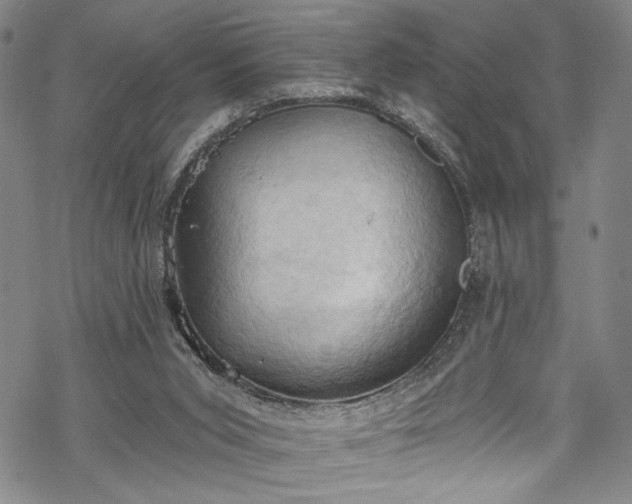 X0000068740015200605051503