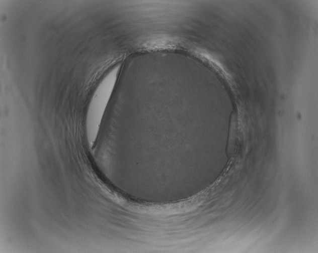 X0000068740017200605051503