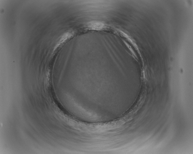 X0000068740018200605051503