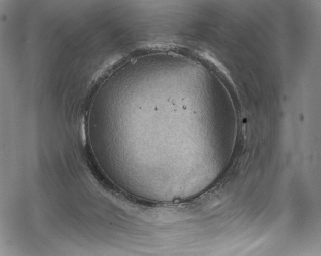 X0000068740020200605051503