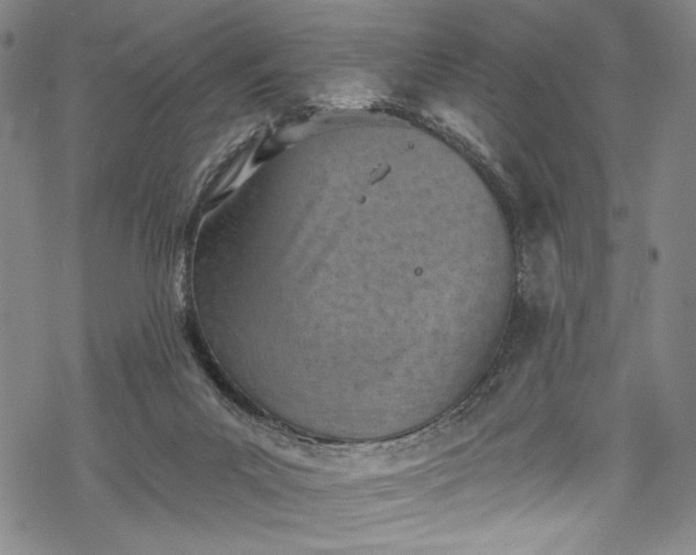 X0000068740023200605051503