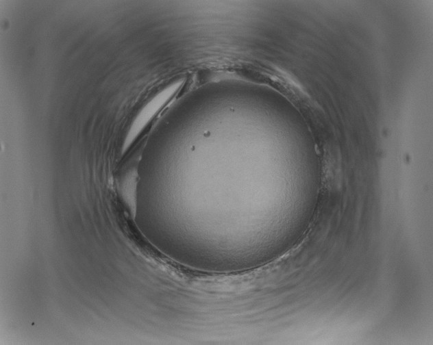 X0000068740025200605051503