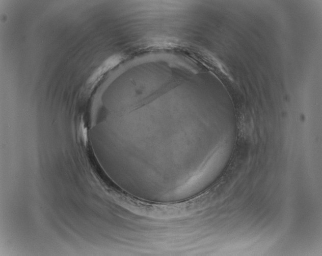 X0000068740027200605051503