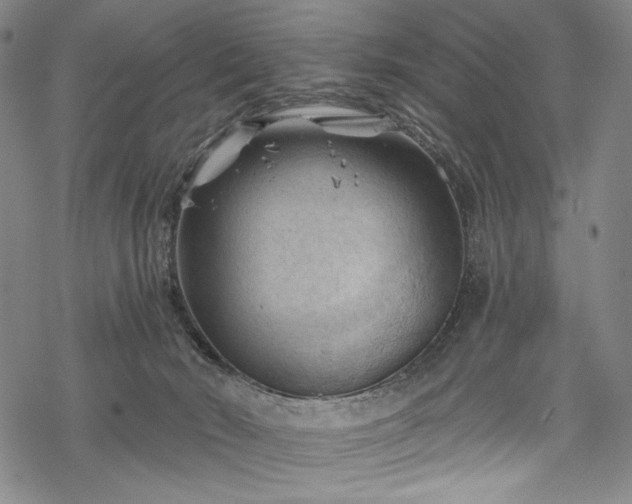 X0000068740030200605051503