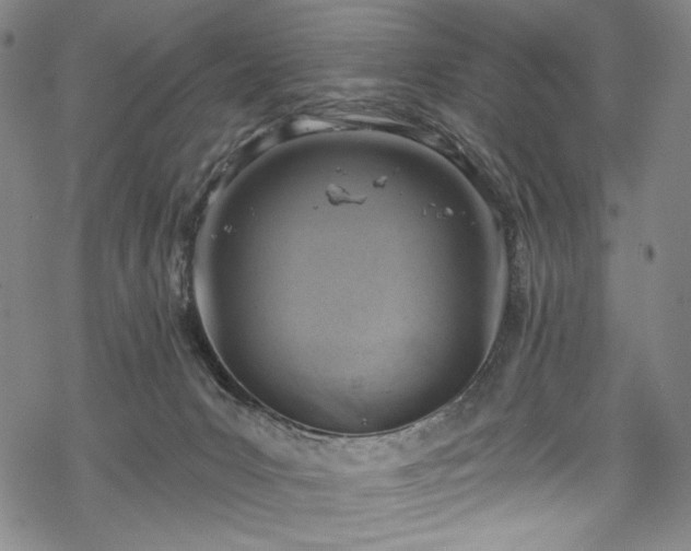 X0000068740031200605051502