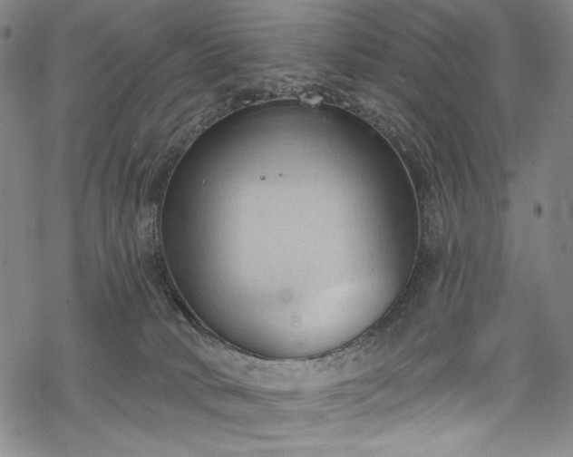 X0000068740034200605051502