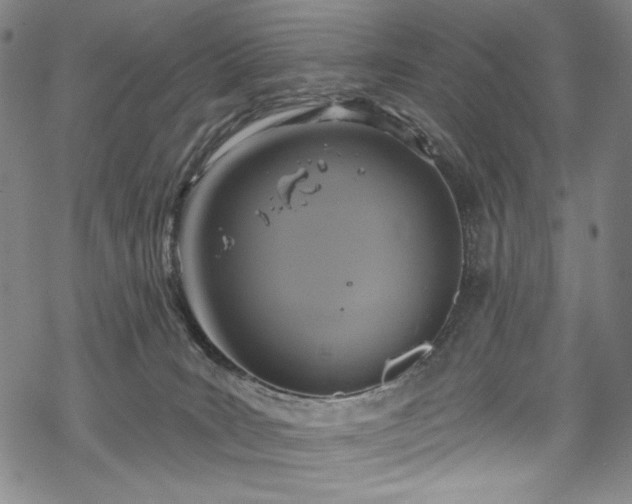 X0000068740035200605051502