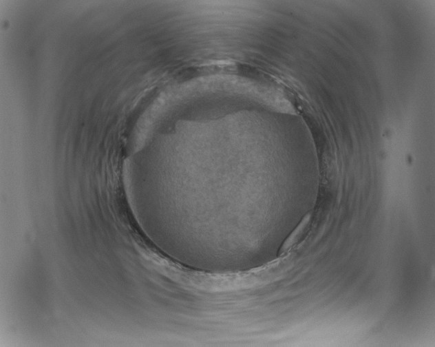 X0000068740037200605051502