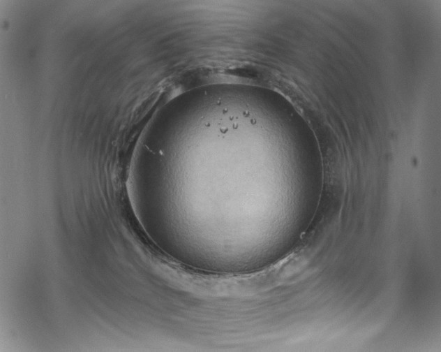 X0000068740040200605051502