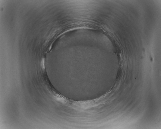 X0000068740041200605051502