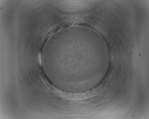 X0000068740042200605051502