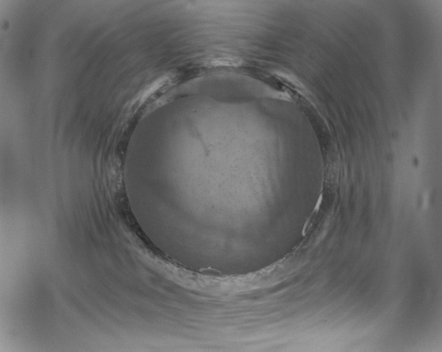 X0000068740043200605051502