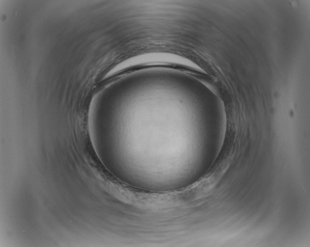 X0000068740044200605051502