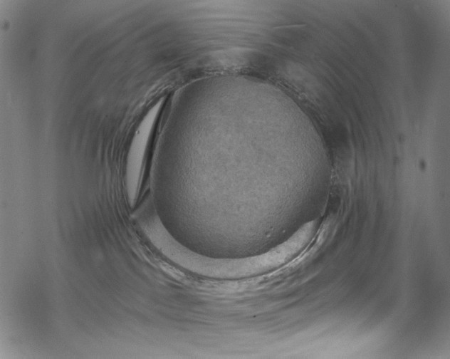 X0000068740045200605051502