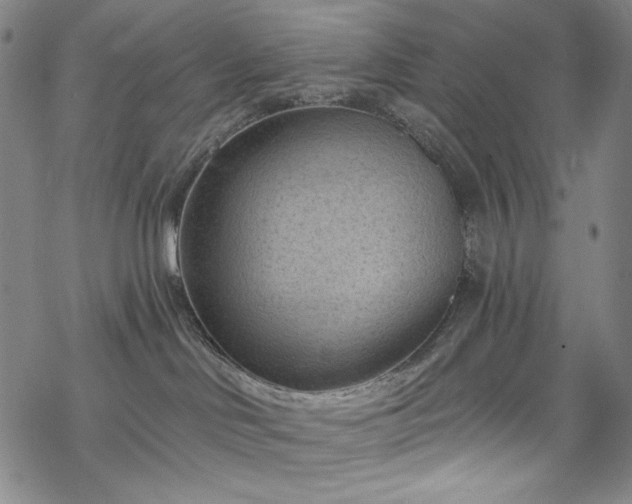 X0000068740046200605051502