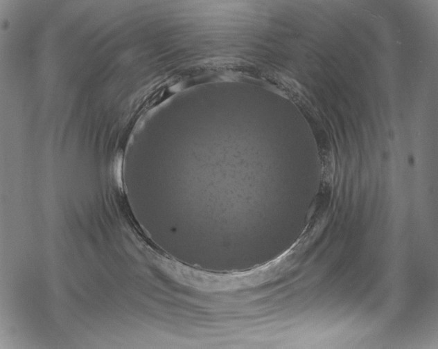 X0000068740047200605051502