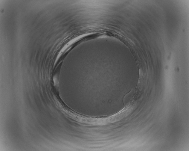 X0000068740048200605051502