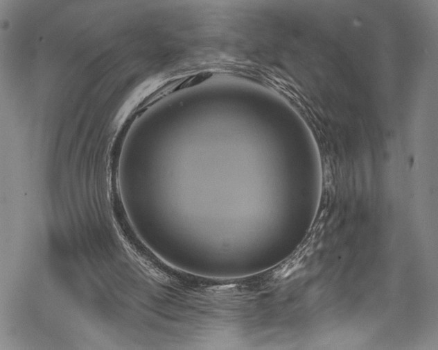 X0000068740054200605051502