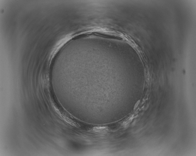 X0000068740055200605051502