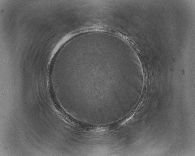 X0000068740056200605051502