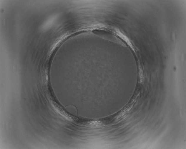 X0000068740059200605051502