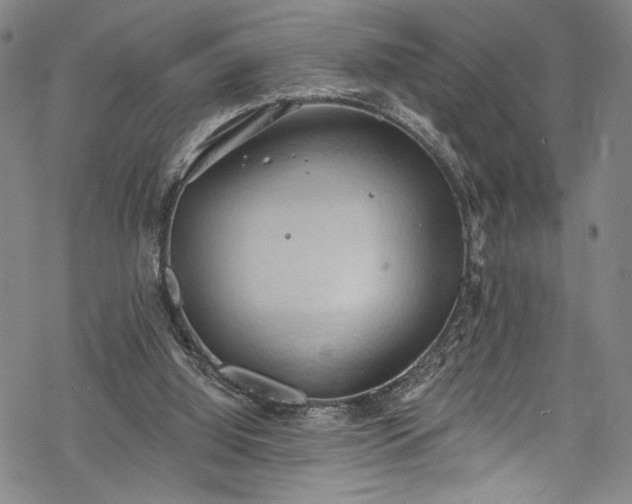 X0000068740060200605051502