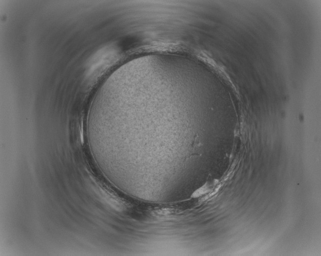 X0000068740062200605051502