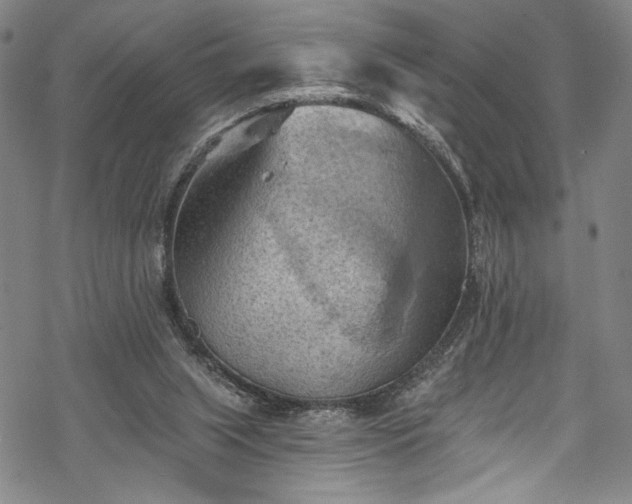 X0000068740063200605051502