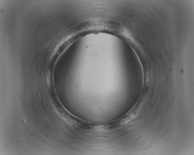 X0000068740064200605051502