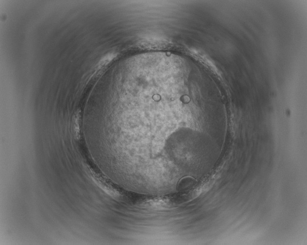 X0000068740065200605051502