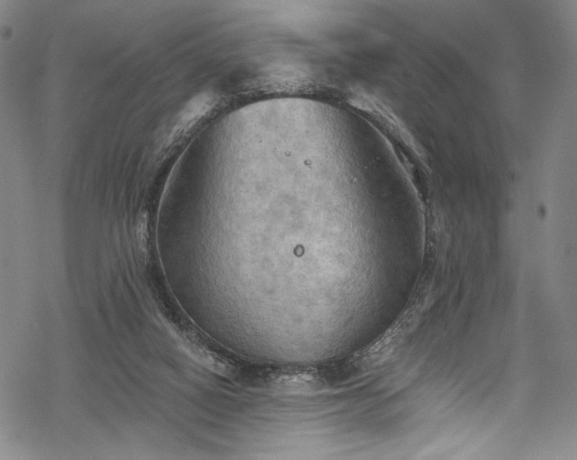 X0000068740066200605051502