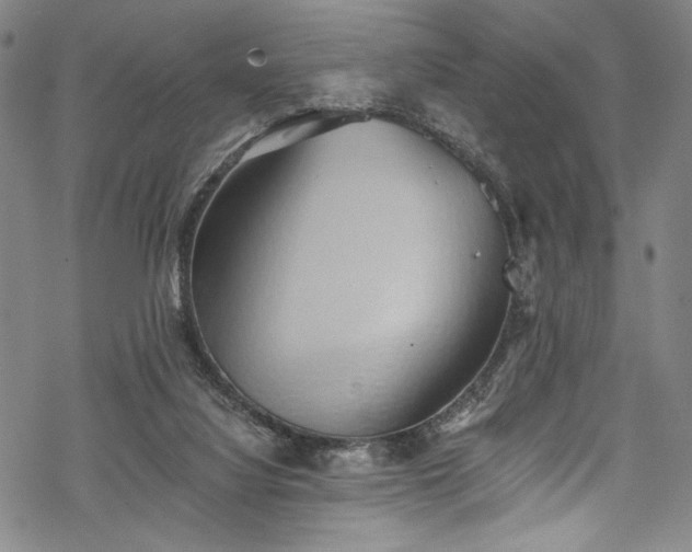 X0000068740068200605051502