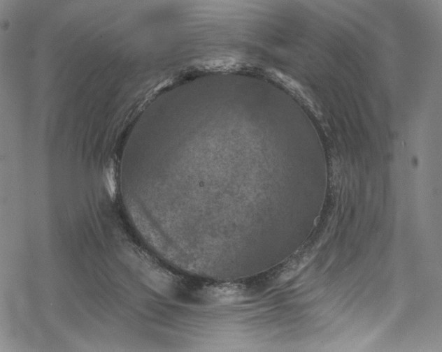 X0000068740069200605051502